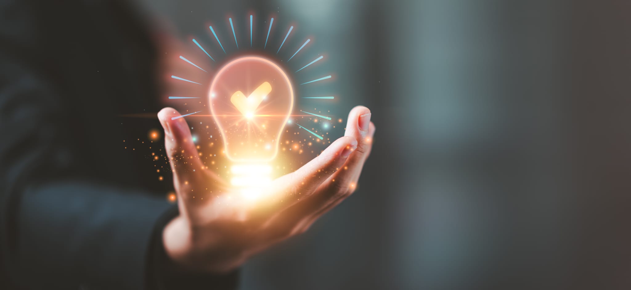 About Synergy Academy